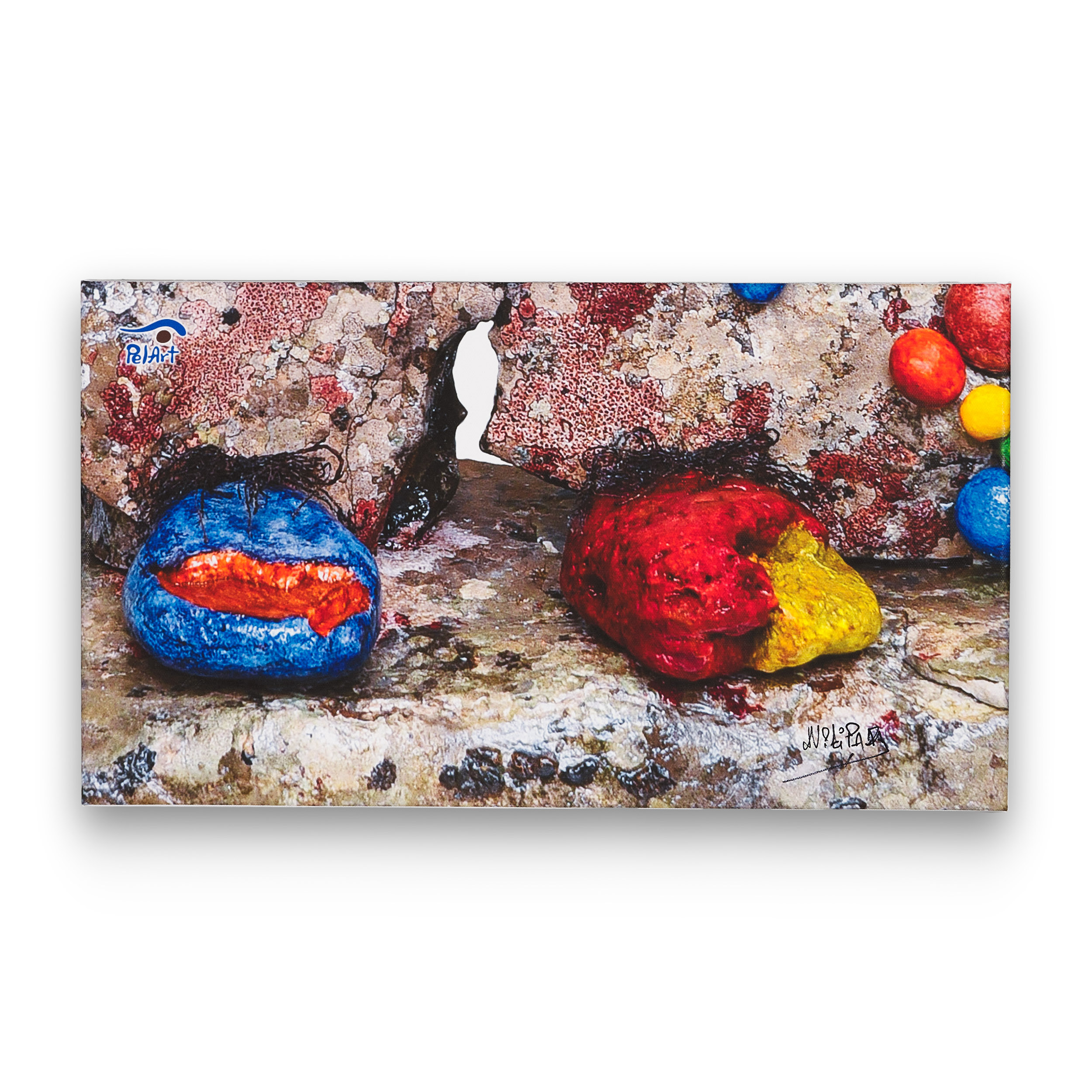 Καμβάς κλόουν παπούτσια