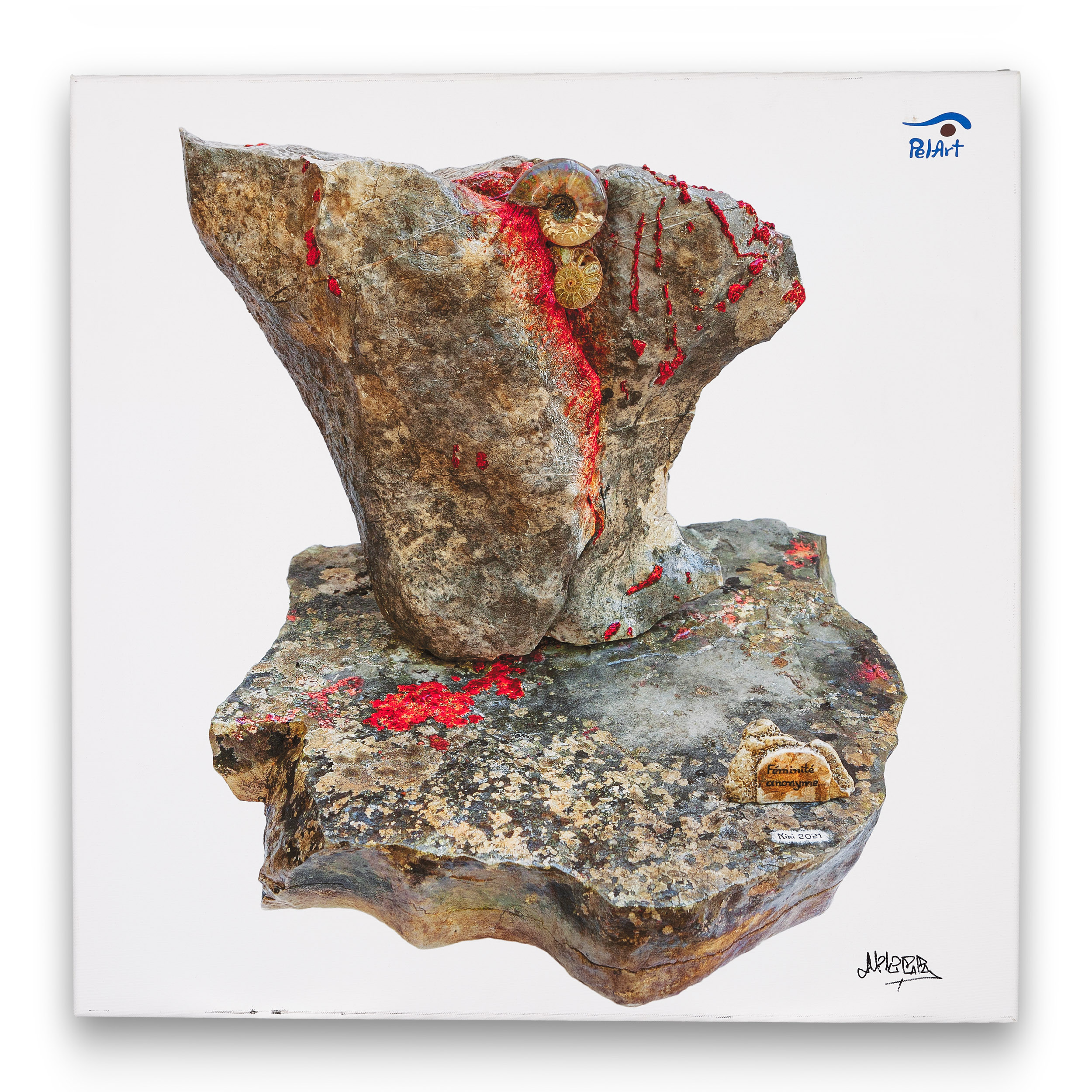 Καμβάς Ανώνυμη θηλυκότητα