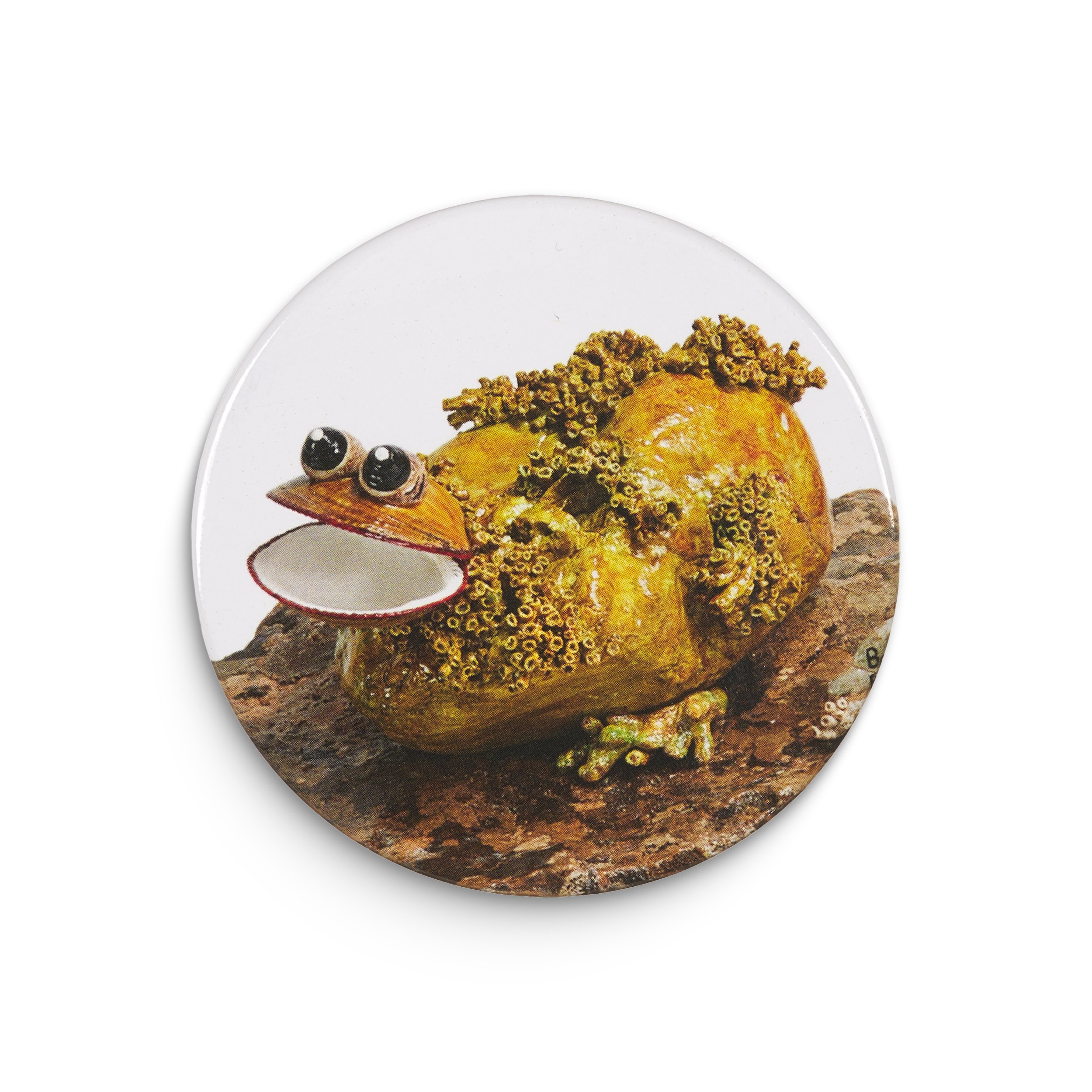 Κονκάρδα Βρεκεκέξης