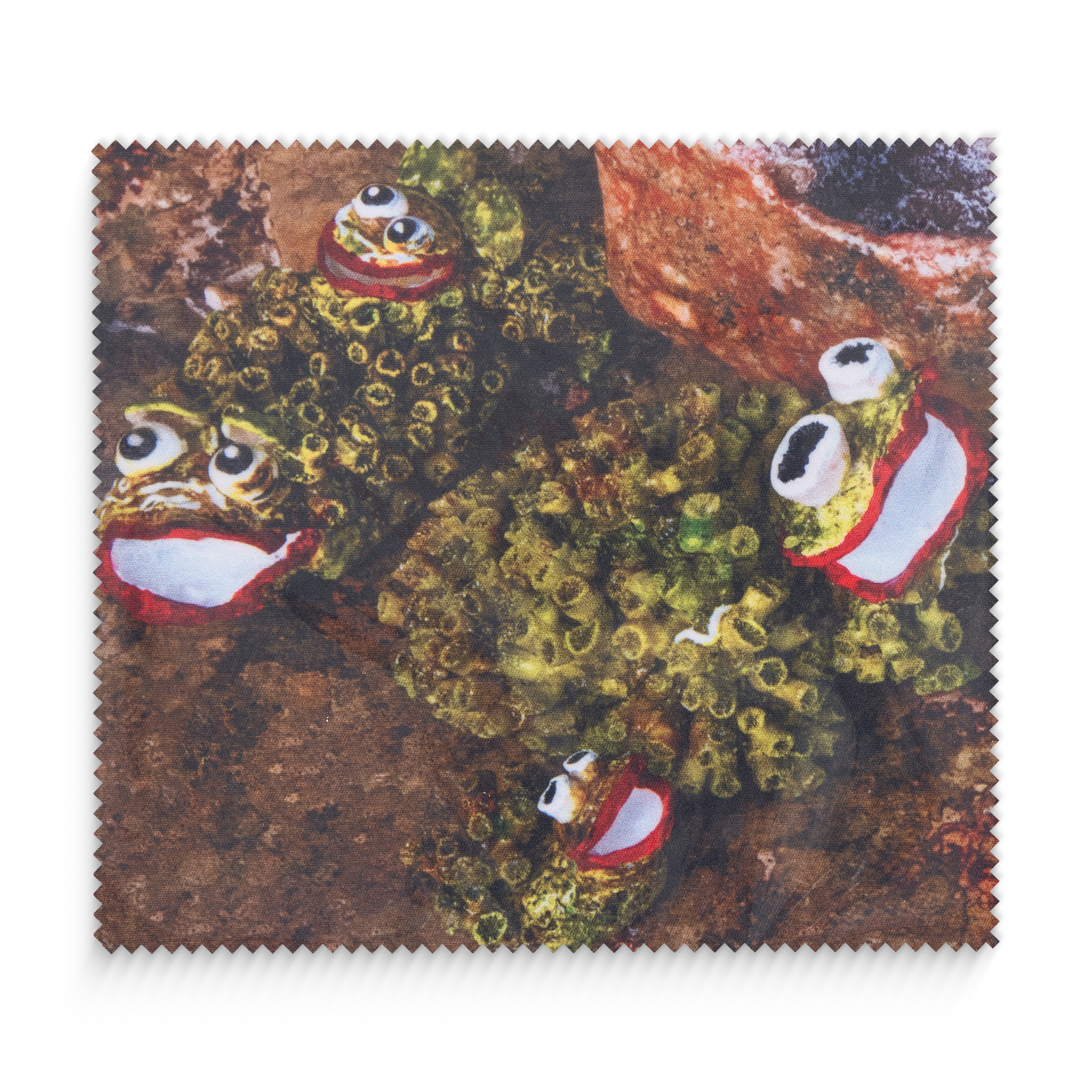 Πανάκι Βατραχάκια