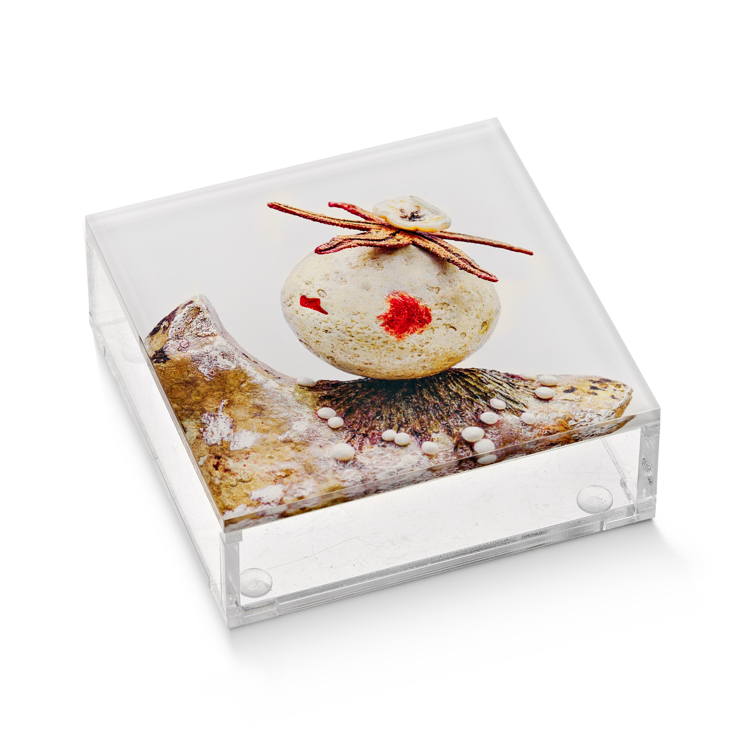 Κουτί Promenade